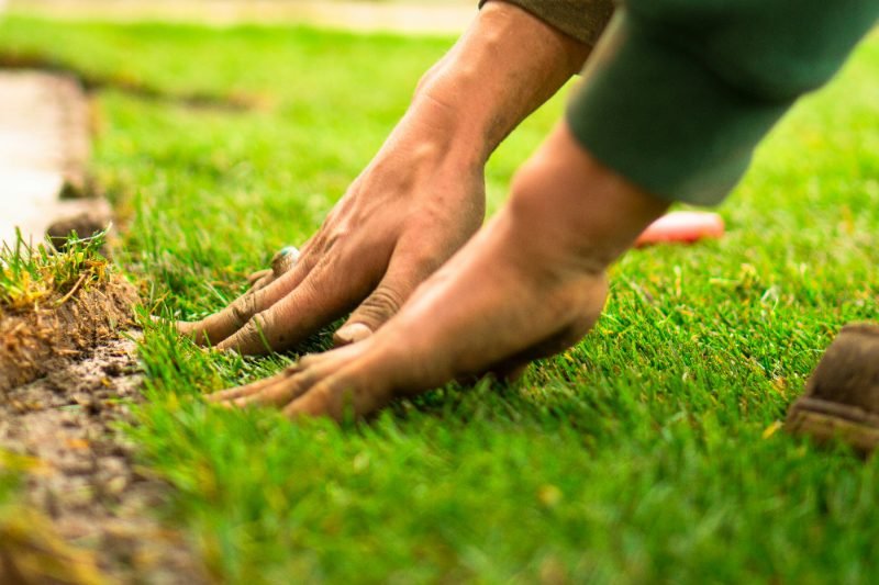 Artificial Turf in Menifee